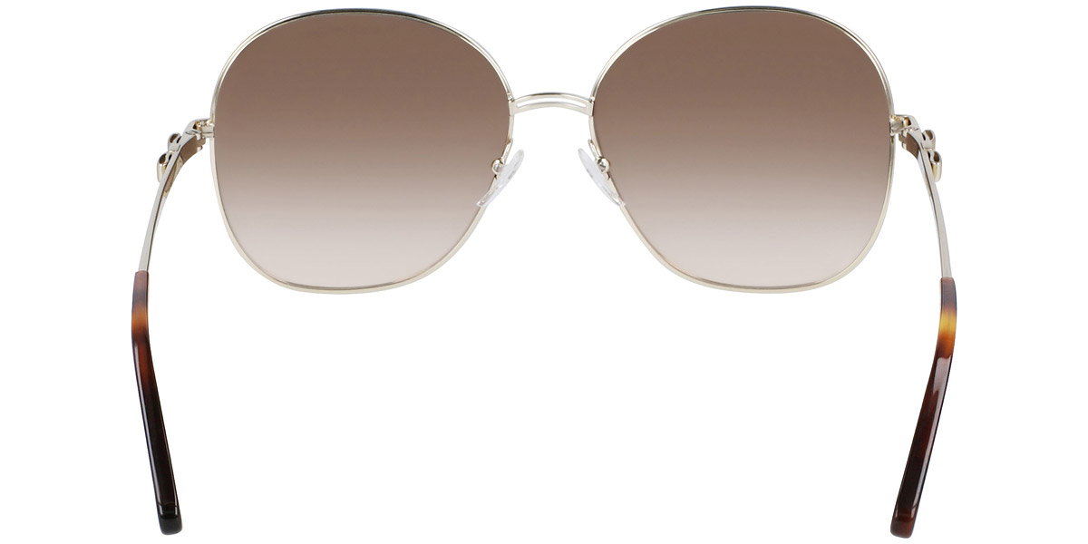 Сонцезахисні окуляри Salvatore Ferragamo SF242S 770